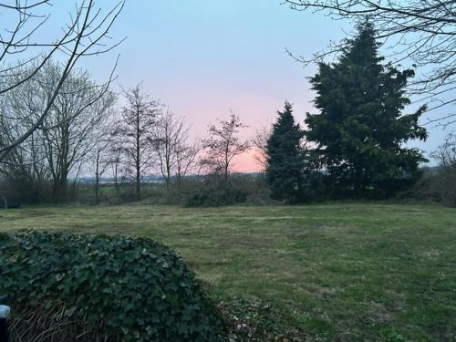 a field of grass with trees in the background at Villa vue saksild strand in Odder