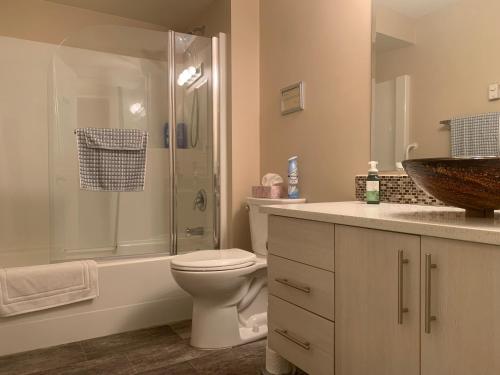 a bathroom with a toilet and a shower and a sink at Remo Ridge Bed N Breakfast in Terrace