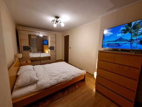 una camera con letto e TV a schermo piatto di Lovely flat with hot tube Cornelia a Corabia