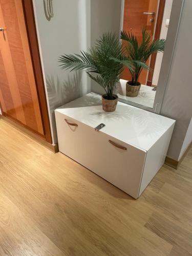 a white dresser with two plants in a room at CALLE MARINA in Huelva