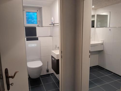 een badkamer met een toilet en een wastafel bij FeWo-Rantafutt in Olsberg