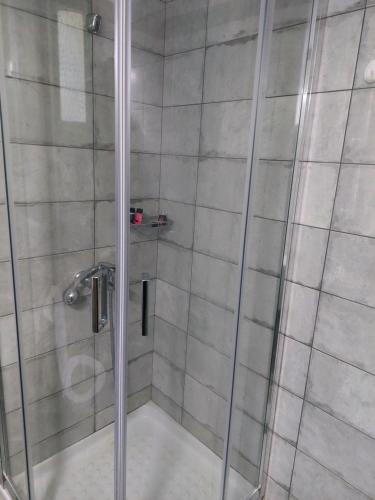 a shower with a glass door in a bathroom at Vitamin sea Apartment 4, Άνετο διαμέρισμα. in Almiropótamos