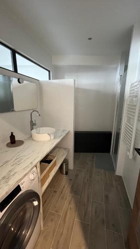 une salle de bain avec une machine à laver et un lavabo dans l'établissement ÂU-LAC loft rénové en 2024, à Lourdes