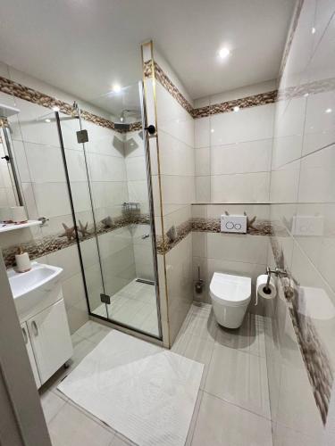 a bathroom with a shower and a toilet and a sink at Pensiunea Ancuței in Şerpeni