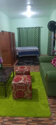 a living room with two boxes on a green rug at Mansfield Inn Ocho Rios in Ocho Rios