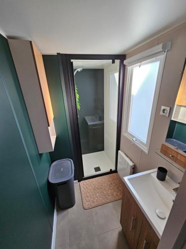 y baño con ducha, lavabo y espejo. en Casa Luisa Mobil Home en Canet-en-Roussillon