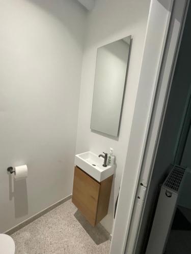 La salle de bains blanche est pourvue d'un lavabo et d'un miroir. dans l'établissement @Tiny Baron Appart - Kraainem, à Kraainem