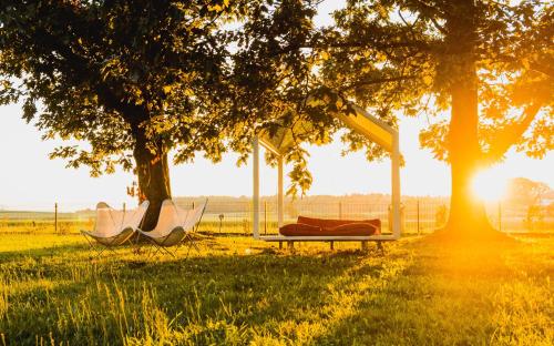 a couple of hammocks in a field under a tree at BREZA mobile house BIG BERRY in Metlika