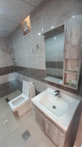 a bathroom with a sink and a toilet at Al Raha Luxury Camp in Wadi Rum