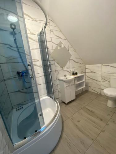 ein Bad mit einer Dusche, einem WC und einem Waschbecken in der Unterkunft Biały Bocian in Stegers