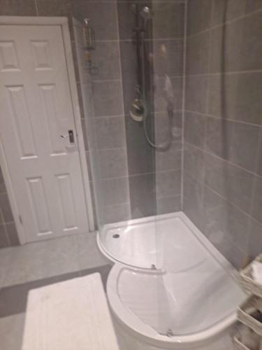a white toilet in a bathroom with a shower at Lapley Manor Annexe in Gailey