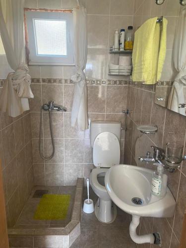 a small bathroom with a toilet and a sink at Apartman LUCIJA, dostupan minimum 7 NOCENJA i VISE, AVAIBLE FOR RENT MINIM 7 NIGHTS AND MORE in Sutomore