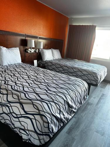 楠帕的住宿－南帕市中心酒店，酒店客房设有两张床和窗户。