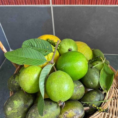 a basket filled with green and yellow fruit at La Gîte Le Sucrier au Lamentin -10 min du CHUM in Le Lamentin