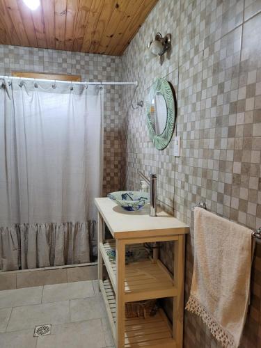 a bathroom with a sink and a shower at CASA PARA 10 PERSONAS, CAFAYATE in Cafayate