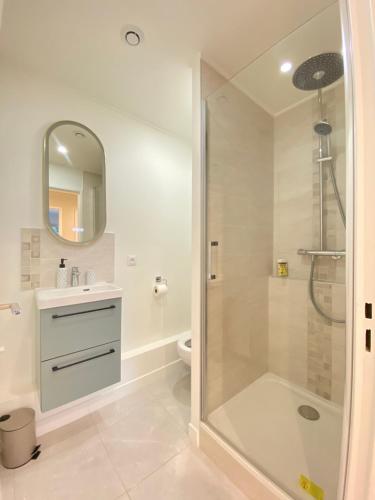 een badkamer met een douche, een wastafel en een toilet bij Le Cocon Urbain - WiFi - Balcon - Parking privé in Courcouronnes