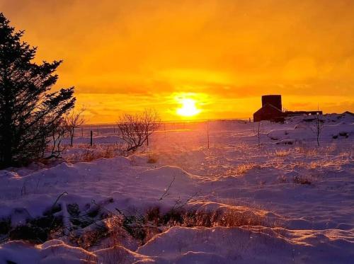 a sunset in a snowy field with the sun setting at Green Farm Stay with private hot tub in Hvolsvöllur