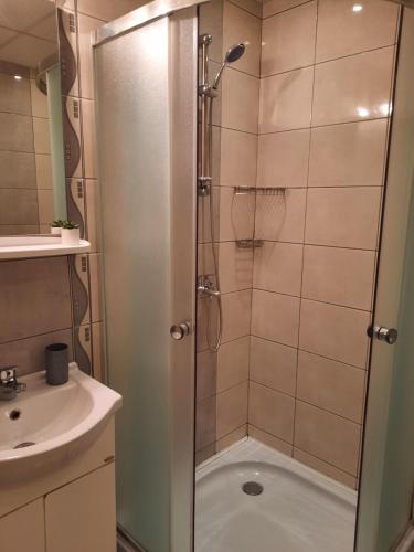 La salle de bains est pourvue d'une douche et d'un lavabo. dans l'établissement Guest House Lazar Raykov, à Ribarica