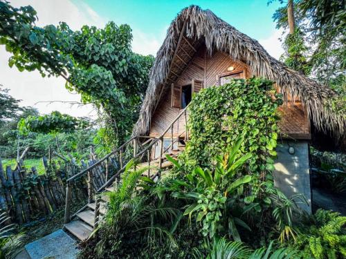 a house with a thatched roof with a staircase at Bungalows India & boutique, El Valle, Samana in Santa Bárbara de Samaná