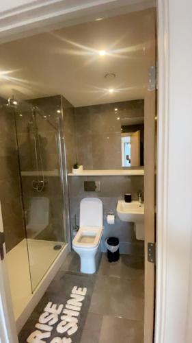 a bathroom with a toilet and a shower and a sink at 310 Arden Gate in Birmingham