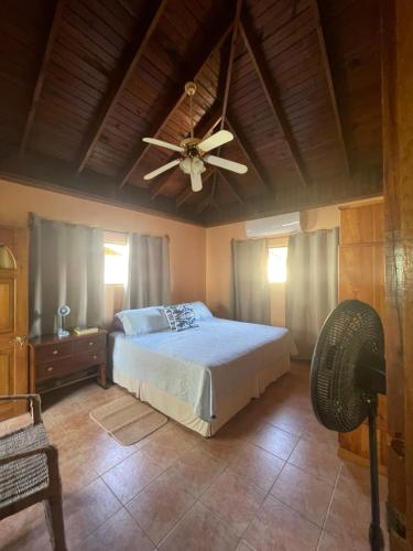 - une chambre avec un lit et un ventilateur de plafond dans l'établissement R&V VILLA, à Negril