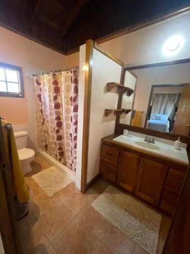 a bathroom with a shower and a sink and a toilet at R&V VILLA in Negril