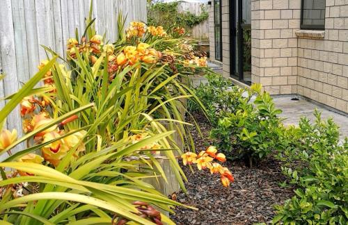 a garden with flowers and plants next to a building at W&M Orchid House in Auckland