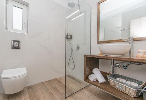 a bathroom with a shower and a toilet and a sink at Villa Zoi in Meson Yerakarion