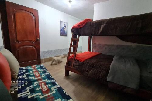 a bedroom with a bunk bed and a dog in a room at Habitación en Papallacta in Papallacta