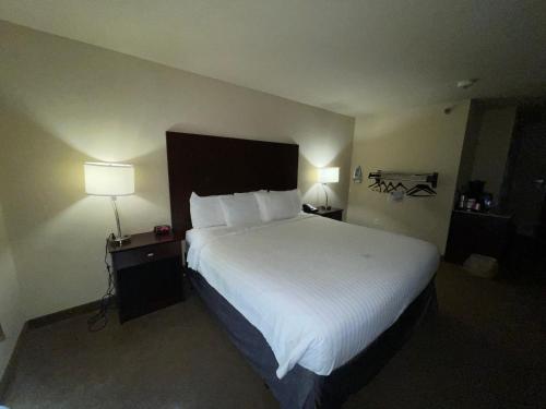 a hotel room with a large bed and two lamps at AmeriVu inn and Suites - Crookston in Crookston
