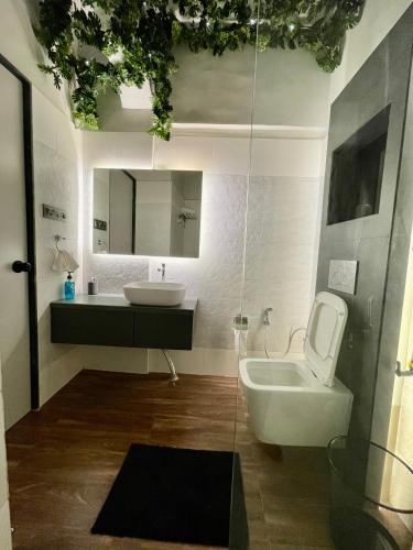 a bathroom with a sink and a toilet and a mirror at Dreamview Mountains - Cozy 1bhk with Sunrise view in Karjat