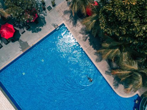 an overhead view of a large blue swimming pool at Mambruk Hotel & Convention in Serang