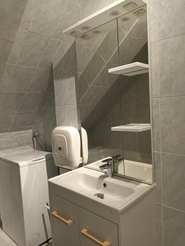 La salle de bains est pourvue d'un lavabo et d'un miroir. dans l'établissement T2 Cozy Rungis - 15min de Paris !, à Rungis