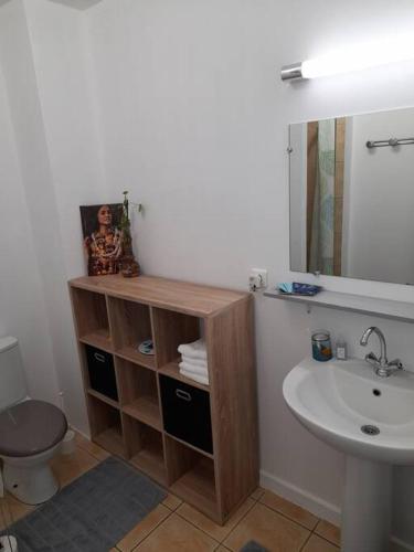 ein Badezimmer mit einem Waschbecken, einem WC und einem Spiegel in der Unterkunft N'JOK Papeete in Papeete
