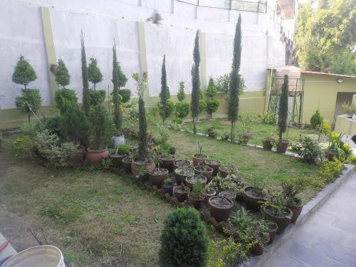 カトマンズにあるBeneficial Homeの鉢植えの植物が植えられた庭園