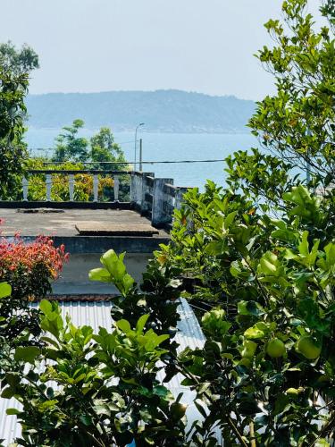 a view of the ocean from behind some trees at Homestay Vân Đức Cù Lao Chàm in Tân Hiệp
