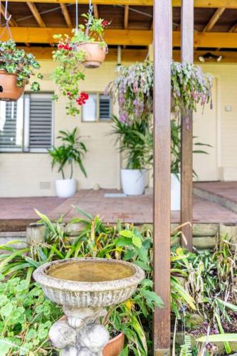 a bird bath with plants in a garden at Newly renovated 4 bedroom home in Newport with Pittwater views in Newport