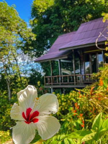 a white and red flower in front of a building at Hillhouse - Koh Yao Noi in Ko Yao Noi