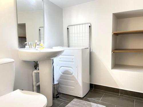 une salle de bain blanche avec un lavabo et des toilettes dans l'établissement Duplex avec terrasse en hypercentre de Grenoble, à Grenoble