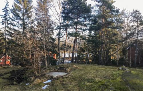 a yard with trees and grass and a field at 4 Bedroom Stunning Home In Ljusterö in Norra Ljustero