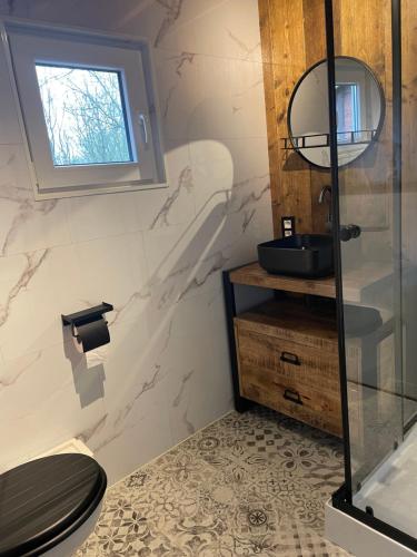 ein Bad mit einer Dusche, einem WC und einem Waschbecken in der Unterkunft Chalet 9 La Boverie in Rendeux