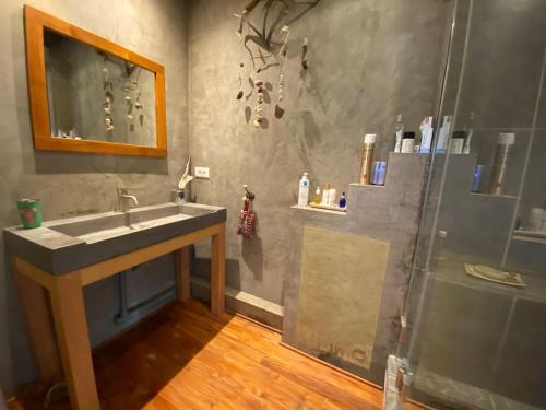 ein Bad mit einem Waschbecken und einer Dusche in der Unterkunft JO maison spacieuse 10 mn Paris in Villejuif