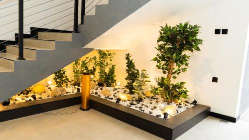 an indoor aquarium under a staircase with plants at STeam Residence102# in Riyadh