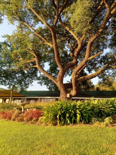 Taman di luar The Nest Drakensberg Mountain Resort Hotel