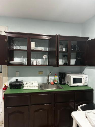 a kitchen with a sink and a microwave at Casa Tabacon cr in Río Claro