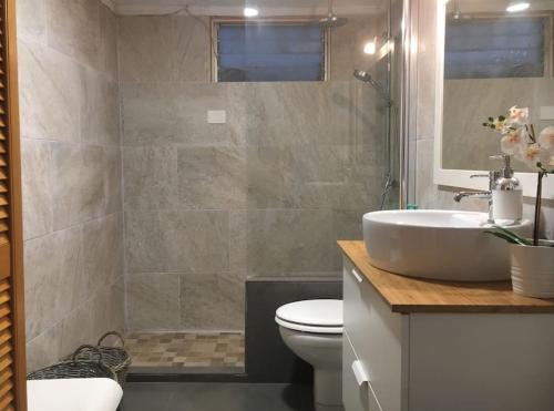 a bathroom with a sink and a toilet and a shower at Vivienda vacacional el grillo feliz in Tegueste