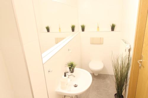 Hotel Ulm Zentrum - Komplettes Zimmer, Hochbett, Android TV & eigenem Bad - perfekt für Familien & Gruppen في أولم: حمام ابيض مع مرحاض ومغسلة