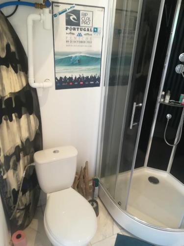 a bathroom with a toilet and a shower at Studio avec jardin à 2km de L'Océan ! in Labenne