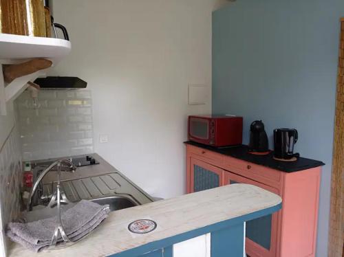 uma cozinha com um lavatório e uma bancada em Studio avec jardin à 2km de L'Océan ! em Labenne