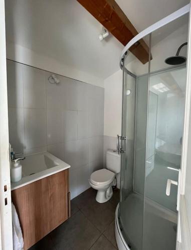 une salle de bain avec toilettes et douche en verre dans l'établissement Appartement bord de mer 2 personnes, à Sagone